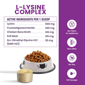 Poudre de <span class=keywords><strong>L</strong></span>-<span class=keywords><strong>Lysine</strong></span> OEM/ODM pour chats et chatons – Soutien immunitaire et santé respiratoire - Product Image 4
