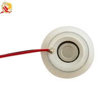 Disco Atomizador Piezoeléctrico Microporoso de Cerámica de 10 mm y 12 V, Elemento Atomizador Ultrasónico