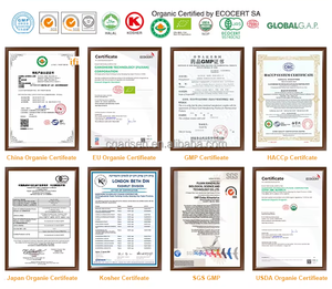 Suplemen penguat otak secara alami diperoleh memori <span class=keywords><strong>vitamin</strong></span> kapsul otak organik untuk dukungan konsentrasi kesehatan otak yang lebih baik - Product Image 6