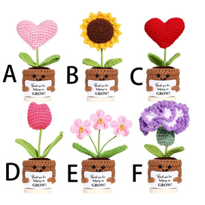Crochet fait main fleur plantes en pot décoration enseignants jour présente fin de l'année merci cadeaux pour les femmes patron <span class=keywords><strong>mentor</strong></span> - Product Image 1