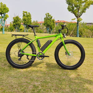 Richbit LOHAS/OEM — vtt électrique 48V 500/2500W, pneus larges avec pédale à vendre, chinois - Product Image 3