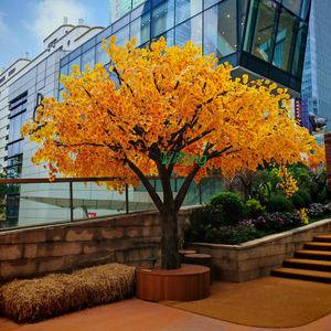 Árbol de <span class=keywords><strong>ginkgo</strong></span> artificial personalizado realista de bajo mantenimiento para el hogar/Hotel/jardín perfecto para mayoristas de diseñadores de interiores - Product Image 2