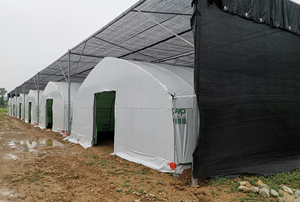 Low <strong>Cost</strong> High Commercial Agricultural <strong>Poly</strong> <strong>Tunnel</strong> Grow Tent System Mushroom Greenhouse for Flowers Plant - Product Image 3