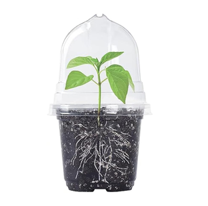 Pots de pépinière de plantes avec démarreur de graines de dôme d'humidité pour <span class=keywords><strong>jardin</strong></span> intérieur et extérieur - Product Image 2
