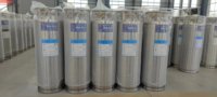 175L Tanque de almacenamiento criogénico aislado de baja temperatura Dewar Tanque de oxígeno líquido Tanque de almacenamiento de nitrógeno líquido
