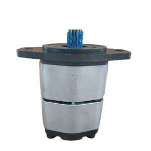 Bomba Hidráulica Doble 3339121073, Bomba Hidráulica 3339121073, Bomba Tándem - Product Image 1