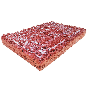 Pista de Atletismo Permeable al Aire con Certificación Internacional INOLP, Suelo Deportivo CN/GUA, Nuevo Diseño a Excelente Precio - Product Image 1