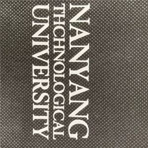 Reusable Tote Shopping <b>Bags</b> Custom <b>Bag</b> With Custom PPinted Logo Grocery <b>Nonwoven</b> <b>Bag</b> Shopping - Product Image 6