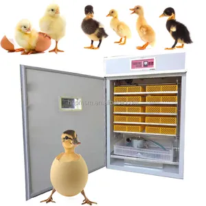 Incubateurs d'oeufs de haute qualité vente chaude 1232 incubateur de poulet contrôleur incubateur d'oeufs vente de Machine