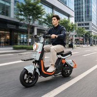 Vélo électrique Paige en vente directe d'usine, fabriqué en Chine, vélo électrique de stockage, trottinettes électriques, vélo de ville pour adulte, pédicab électrique