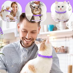 Hochwertiges 4-teiliges, massives Luxus-Gummi-Haustier-Beruhigung halsband für Hunde-verstellbarer, umwelt freundlicher Lavendel - Product Image 3