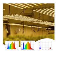 L'usine fournit directement l'horticulture à intensité variable Lm301 Lm301h Spectre complet intérieur Led élèvent la barre de bande lumineuse de plante 10Bar 12Bar