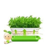 Kit de germination de micro-légumes sans terre avec couvercle, pour la culture de l'herbe de blé, plateau de germination pour pépinière et jardin