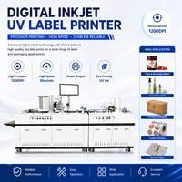 Mesin Cetak Digital Inkjet UV Otomatis Presisi Tinggi untuk Label, Gelas Kertas, Mangkuk, Amplop, Tas Kraft, Undangan
