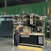 Meubles de cuisine modulaires modernes d'extérieur en acier inoxydable avec évier, station de barbecue pliable, éclairage, pare-soleil et hotte aspirante