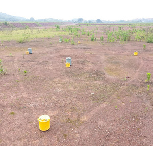 Rộng Ban Nhạc Địa Chấn Thu Thập Dữ Liệu Cụ Rộng Ban Nhạc Seismometer - Product Image 3