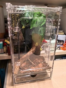 3mm PC Transparente Reptilien-<span class=keywords><strong>Terrarium</strong></span> – Belüfteter Haustierkäfig für Amphibien (S/L) - Product Image 4