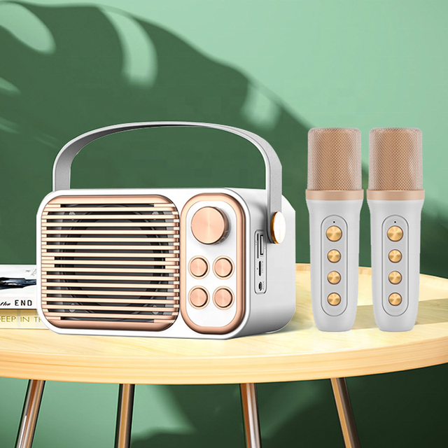 Family Home Party Music Box Portable Mini Bass High Quality Loud Karaoke Speakers with Wireless Mic and bluetooth Speaker Sound