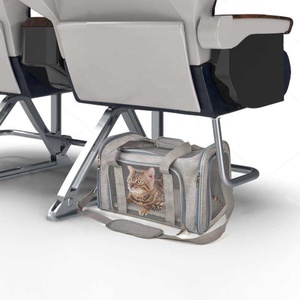 Top 5 iCare Gifts for Pet Lovers Who Travel Often