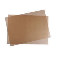 Papel de Aislamiento para Condensadores, Lámina de Poliéster para Condensadores, 0.15mm 0.20mm, Papel de Aislamiento PMP, Aislamiento Eléctrico