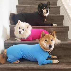 Camiseta Interior Elástica para Mascotas Shine de Cuatro Patas, Talla Mediana a Grande, para Invierno - Product Image 5