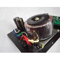 GGDX Meilleure Vente Amplificateur Domestique 110V/220V Ampli de Puissance Numérique Classe D pour Basses 300W-600W pour Enceintes de Théâtre