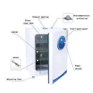 Incubadora Termostática OEM DH-360A DH-420A DH-500A DH-600A, Incubadora de Laboratorio de Convección Natural de 54L a 252L - Product Image 5