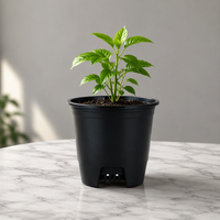 Fabriqué en Chine, petits pots de fleurs noirs mignons et luxueux, décoratifs, pour la nurserie, en plastique PP avec trous de drainage, pour l'extérieur