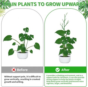 Mezclas de jardín en estaca para plantas en maceta, rama de flores, palos de poste, varilla ajustable, ramita desmontable, juego de estacas de soporte de plástico para plantas - Product Image 6