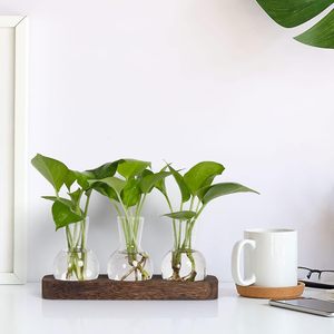 Glass Hydroponic <b>Vases</b> With Wooden Tray Round Shape Tabletop Decor For Plants - Product Image 2