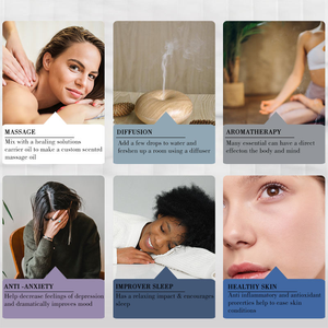 Mezcla de hierbas naturales <span class=keywords><strong>para</strong></span> migraña, dolor de cabeza, fragancia, relajación, aceites de aromaterapia, alivio del estrés, rollo de aceite esencial - Product Image 3