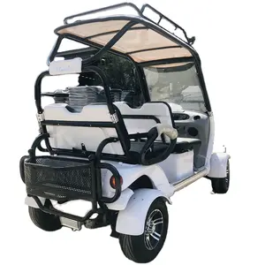 New design CE 4 wheels electric car tour 60V 2500W passenger motor max load 400kgs