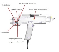 Pistolet de mésothérapie capillaire, technologie de micro-aiguilletage RF, pistolet d'injection anti-âge pour les traitements du visage et des cheveux