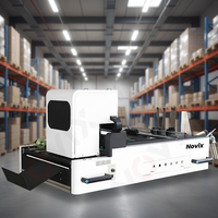 NOVIX Automatischer Hochgeschwindigkeits-Mini-Digitaldrucker mit PLC-Steuerung für Pappbecher, Ventilatoren, Kartons und Pizzaboxen