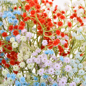 Gymphs Thực Tế Nhựa Hoa Nhân Tạo Lớn Trái Cây Mềm Keo Khô Cô Dâu Giữ Hoa Chụp Đạo Cụ Cho Đám Cưới Sống - Product Image 4