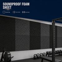 Feuille de mousse insonorisante Premium Echo Control Straight Edge pour les constructeurs d'intérieurs de gymnases et studios