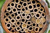 Maison à abeilles décorative moderne en bois suspendue, faite à la main, pour abeilles maçonneuses, avec logo personnalisé, pour usage quotidien, en forme de baril
