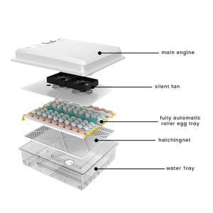 Tuyệt vời trang trại nóng bán New Mini lồng ấp hiệu quả cao lồng ấp trứng thích hợp cho trang trại và nhà - Product Image 6