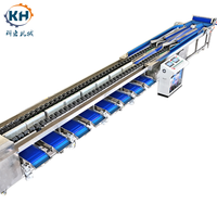 Automatische fruit- en groentesorteermachine PLC Hoge efficiëntie 460 stuks/min capaciteit diepvriesvoedselverwerkingsinstallatie