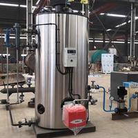 Chaudière de chauffage entièrement automatique à gaz basse pression verticale en acier au carbone 200 kg pour chauffage multifonctionnel