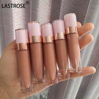 Rouge à Lèvres Liquide Glossy Luxe en Gros, Marque Privée Votre Logo Maquillage, Brillant à Lèvres avec Tube de Brillant à Lèvres Diamant Fournisseur