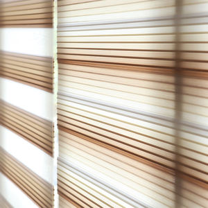 Echoration Korean Zebra Blinds Custom Day and Night Window Shades <b>Motorized</b> Roller <b>Curtains</b> Automatic Light Filtering Modern - Product Image 4