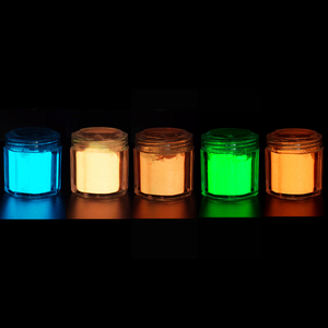 OEM karanlıkta kızdırma cadılar bayramı tırnak sanat tozu DIY Pigment kozmetik ışıldayan Pigment tırnak dekorasyon - Product Image 6