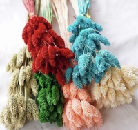 Lot de 50 fleurs séchées en herbe gemmée, écologiques, pour arrangements floraux DIY, mariages, Noël, Nouvel An, décorations d'intérieur, emballage de détail