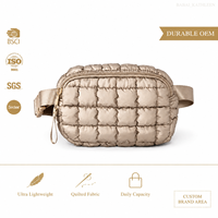Pochette bandoulière petite taille en polyester lavable, rembourrée effet nuage, fermeture éclair fluide, pour les courses quotidiennes, fabricant direct, Sedex SGS