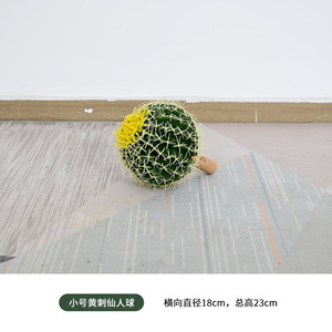 Decorazione interna Erevgreen in plastica <span class=keywords><strong>cactus</strong></span> piante finte piante di simulazione pianta tropicale <span class=keywords><strong>Cactus</strong></span> artificiale - Product Image 4