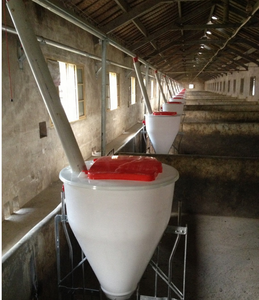 Mangeoire à porcs 100 <span class=keywords><strong>L</strong></span>, équipement d'élevage, mangeoires pour animaux, système de mangeoire pour porcs en croissance, équipement d'élevage - Product Image 4