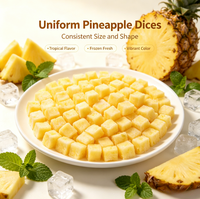 Lotlong Premium IQF Natuurlijke Gouden Custom Factory Smakelijke Diepvries Ananasblokjes 10kg Klaar voor Gebruik Fruitthee Smoothie Shop Bereiding