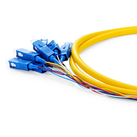 Cable de Fibra Óptica Pigtail SC/UPC de 12 Núcleos de Alta Calidad Apt en Oferta para FTTH