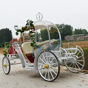 عربة الزفاف الرائعة تناسب جميع المناسبات عربة حصان السندريلا واليقطين عربة حفلات الزفاف الملكية مزودة بمصباح ليد